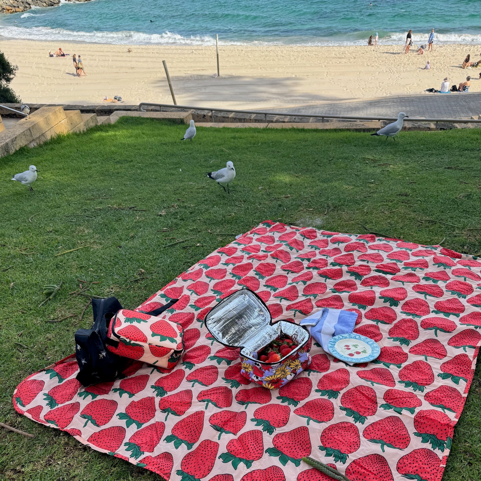 Red strawberry patterned picnic blanket with a lunch bag, plate and blue striped tea towel on a grassy area near a beach.