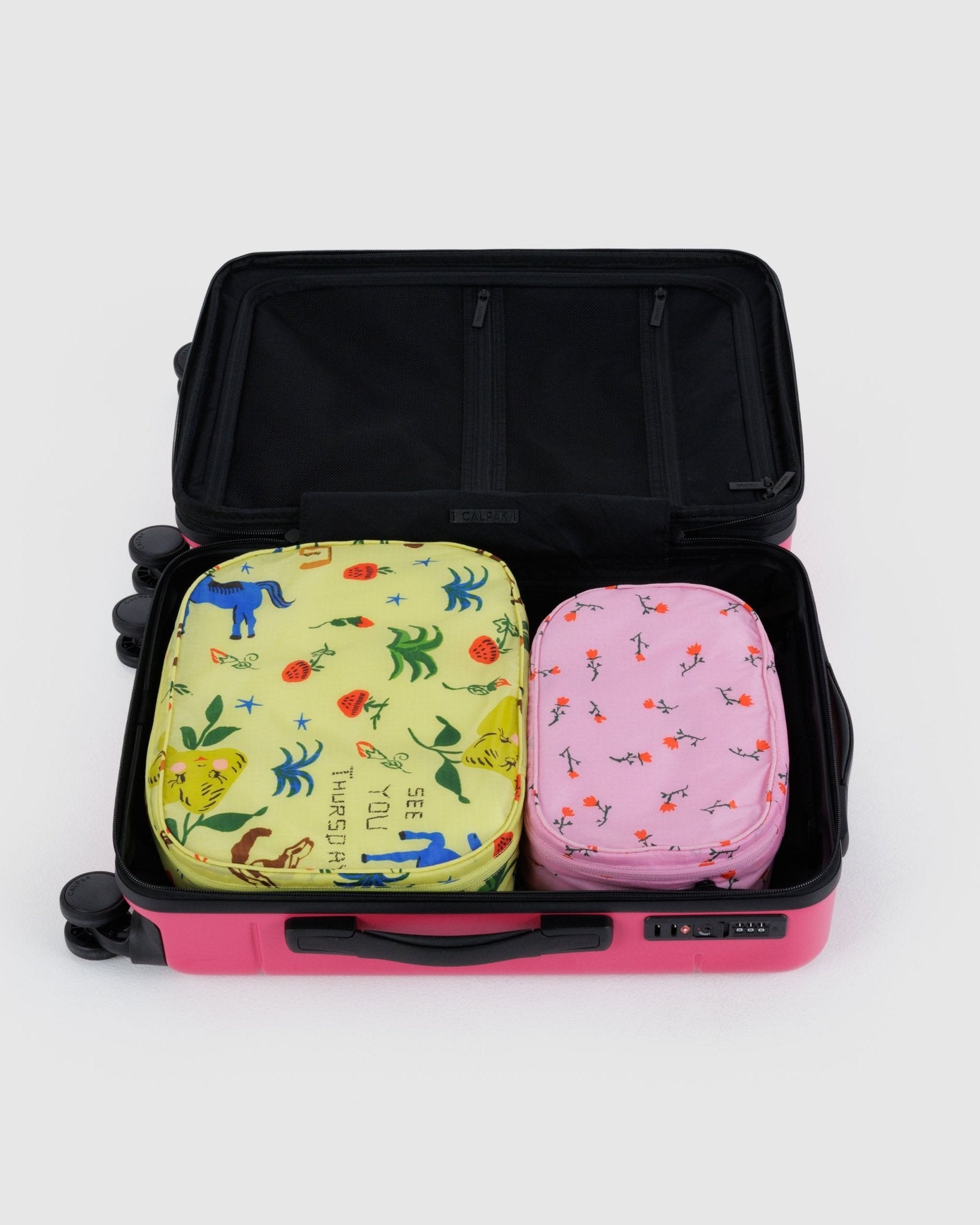 Baggu Packing Cube Set - RegularPainted Prairie3
