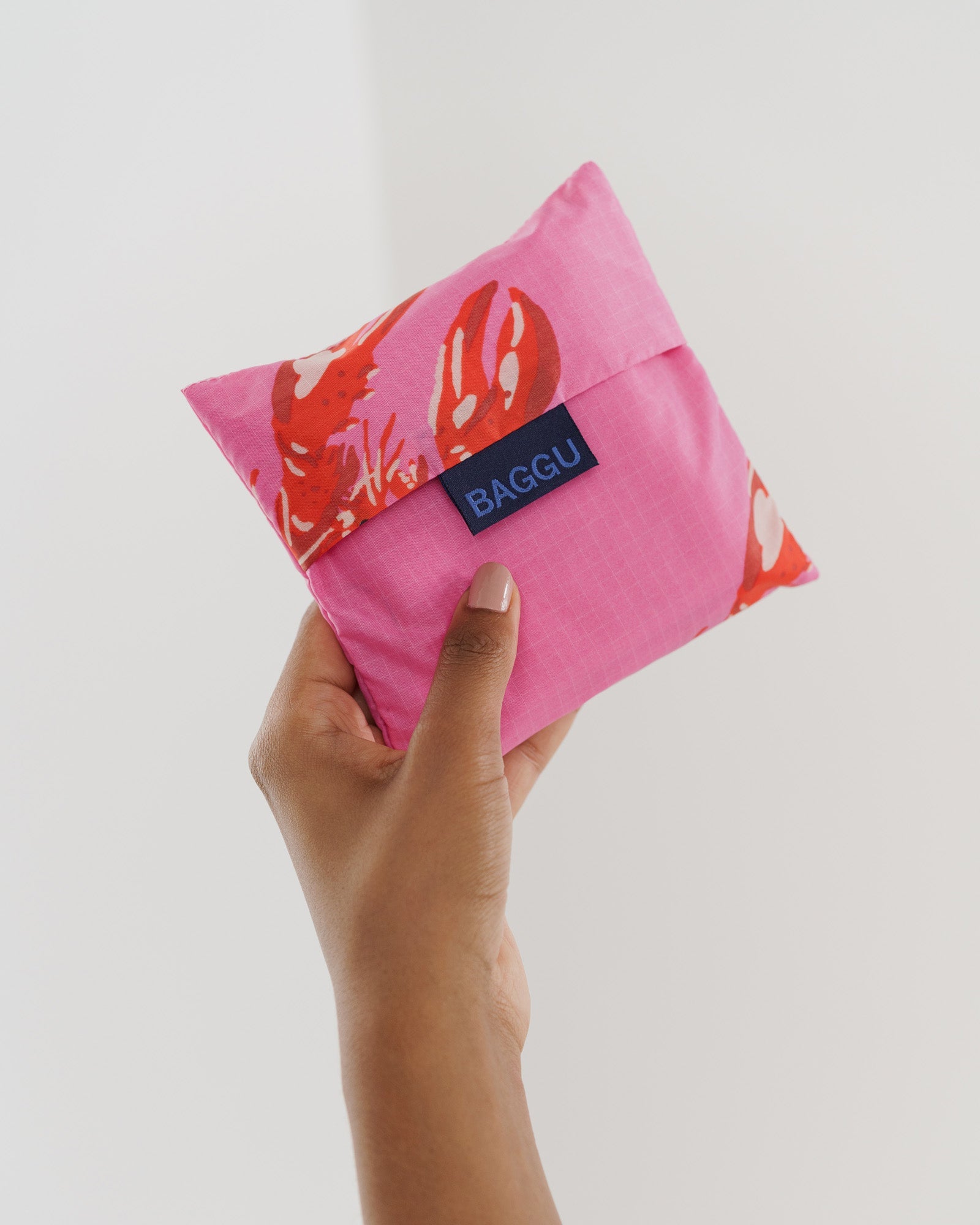 Hand holding a Standard Baggu Reusable Bag storage pouch- ANNIE.G