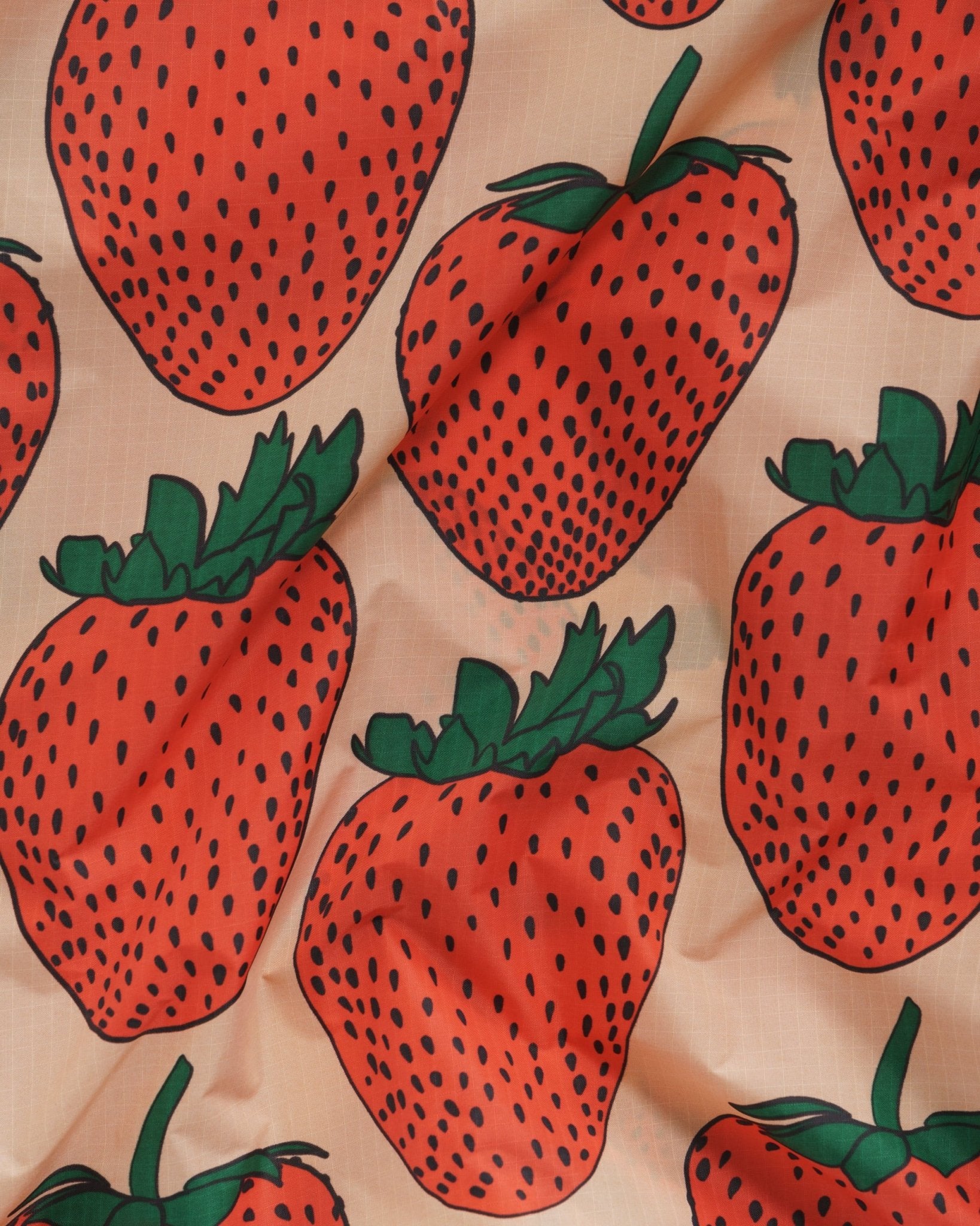 Big Baggu Reusable Bag - ANNIE.G