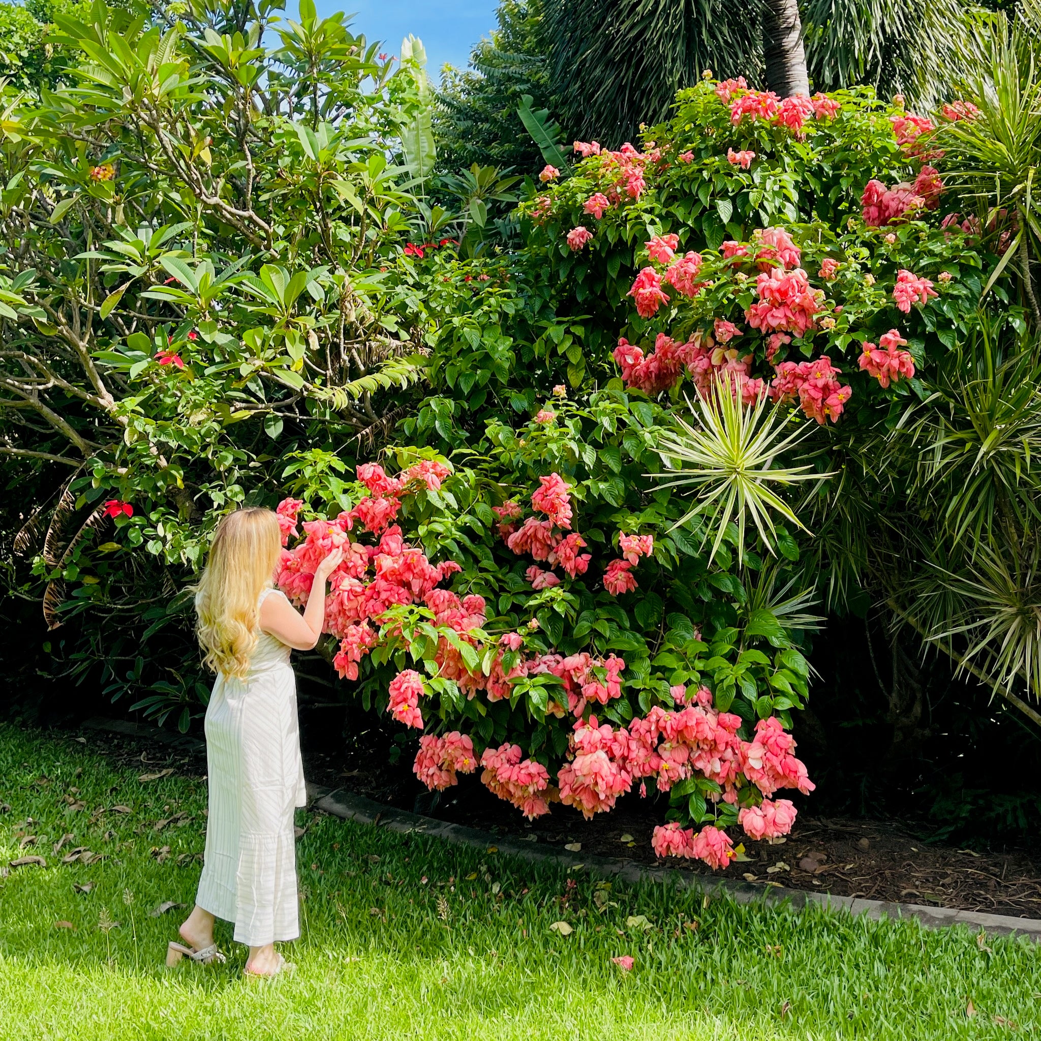 woman-wearing-bridget-dress-smelling-flowers-in-garden-back-view