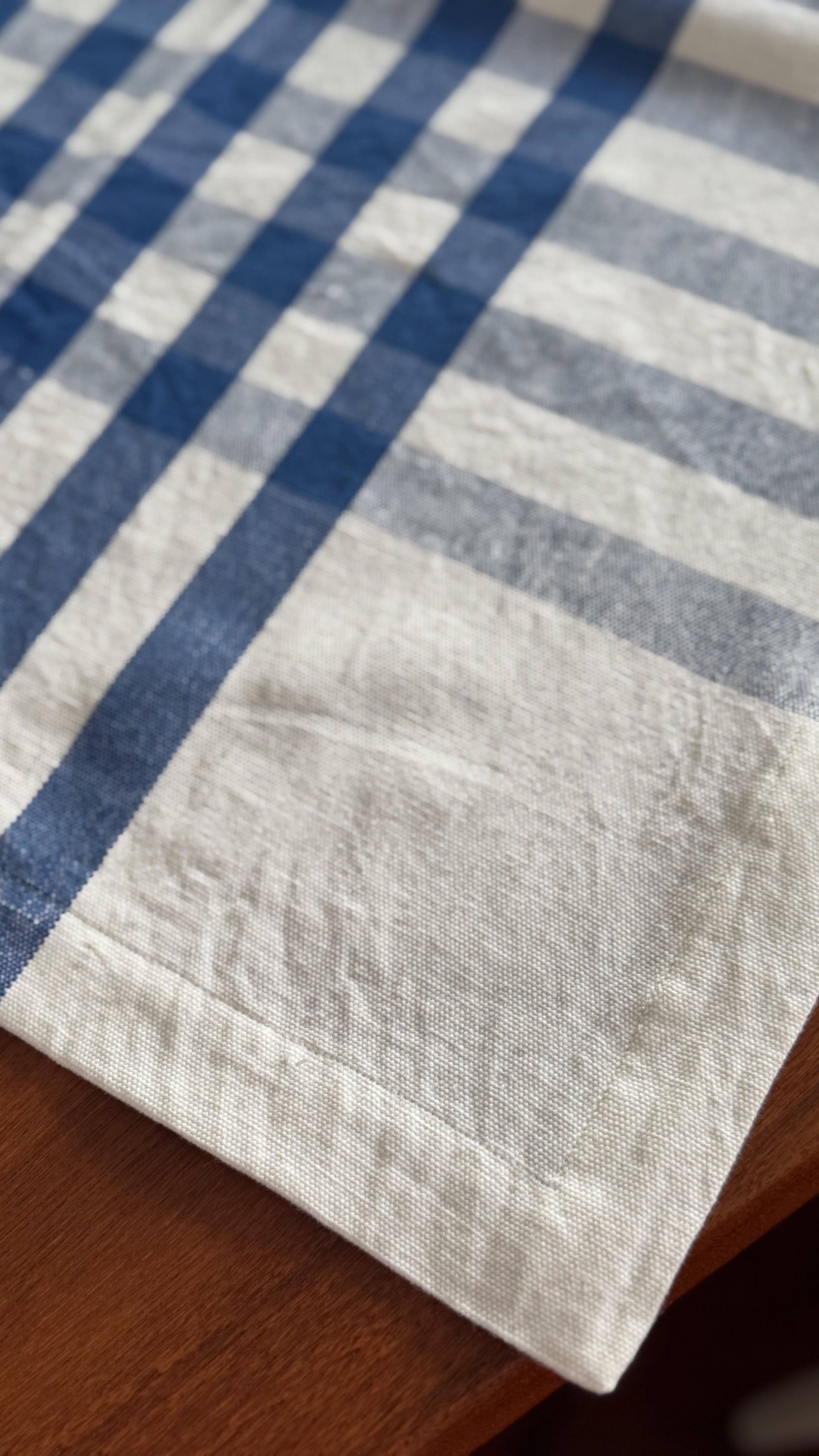 Tablecloth Coastline Check in True Blue