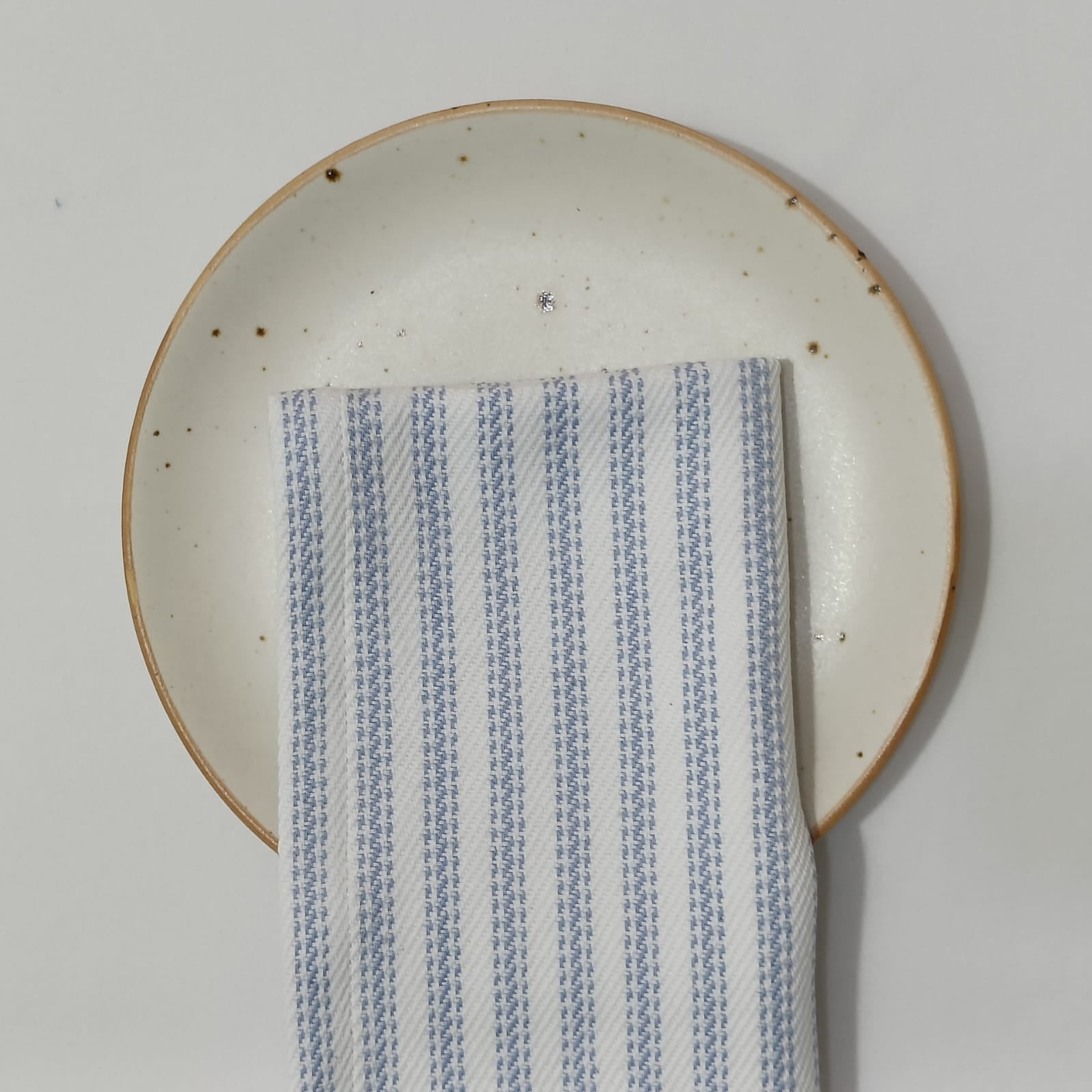 Napkins Cotton Ticking Set of 4 - ANNIE.G