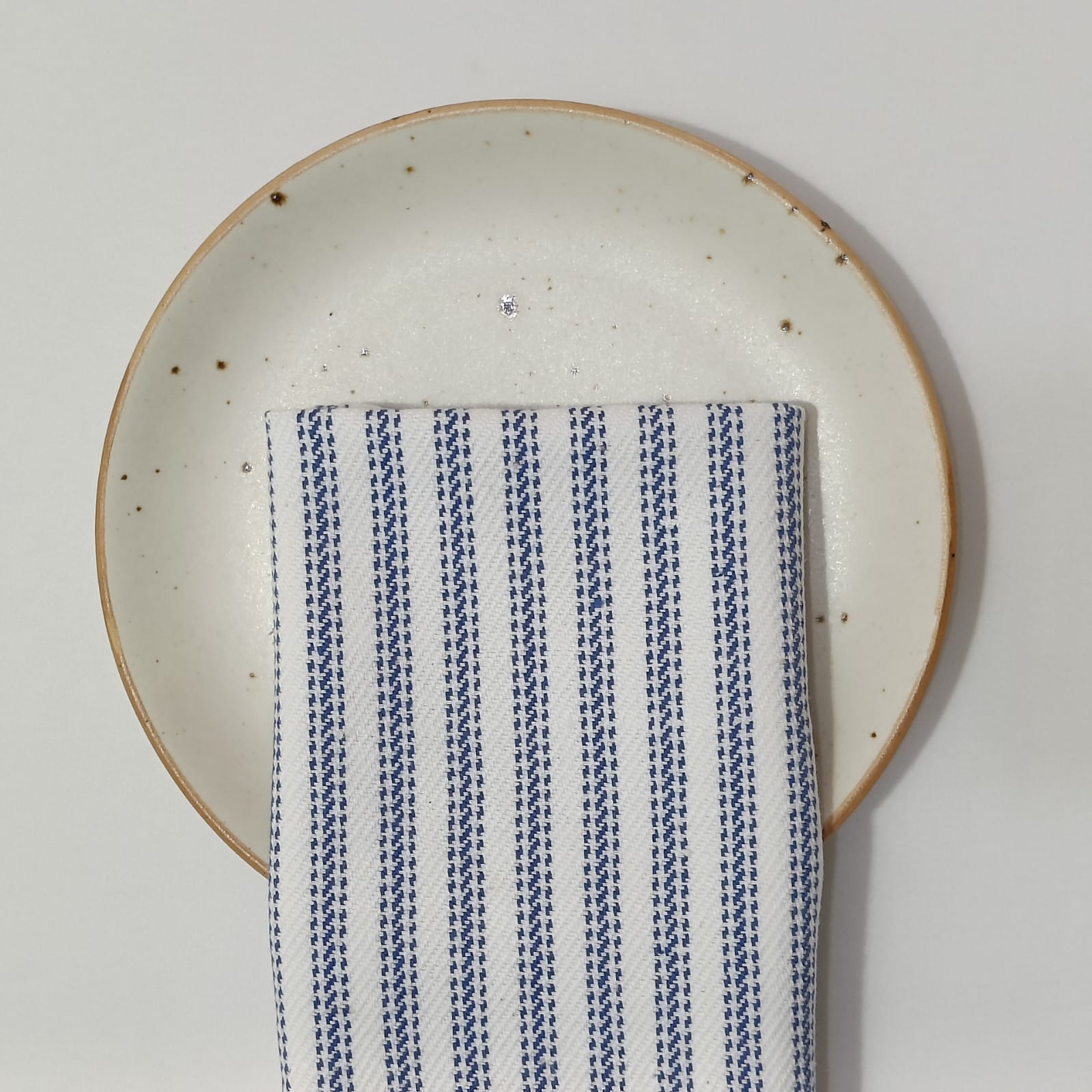 Napkins Cotton Ticking Set of 4 - ANNIE.G