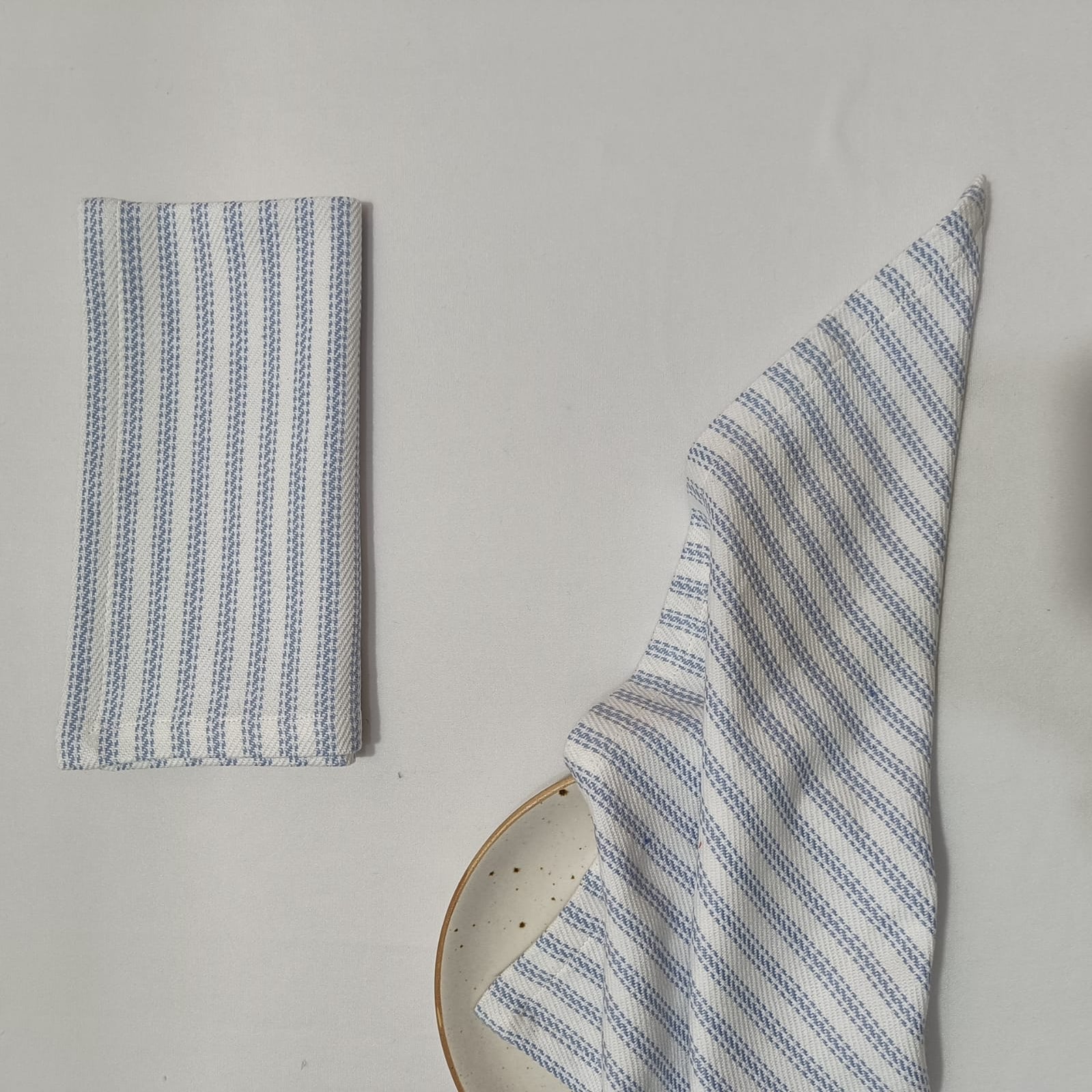 Napkins Cotton Ticking Set of 4 - ANNIE.G