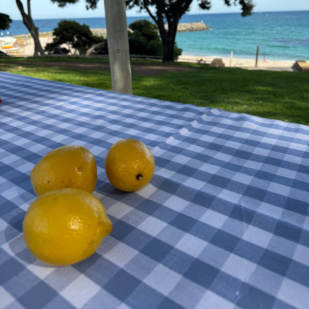 Light blue check fabric of tablecloth with lemons on top at the beach - ANNIE.G