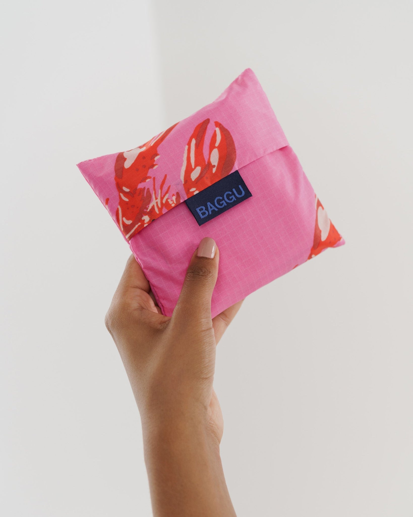 Hand holding a Standard Baggu Reusable Bag storage pouch- ANNIE.G